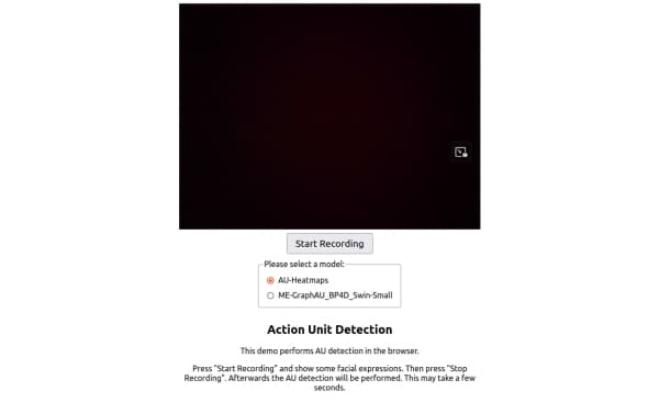 Action Unit Detection Website Screenshot